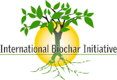 International Biochar Institute